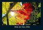 Tobias Becker: Bilder der Natur 2026 Fotokalender DIN A4, KAL