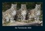 Tobias Becker: Der Tierkalender 2026 Fotokalender DIN A4, KAL