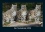 Tobias Becker: Der Tierkalender 2026 Fotokalender DIN A5, KAL