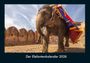 Tobias Becker: Der Elefantenkalender 2026 Fotokalender DIN A4, KAL