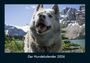 Tobias Becker: Der Hundekalender 2026 Fotokalender DIN A4, KAL