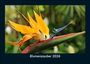Tobias Becker: Blumenzauber 2026 Fotokalender DIN A5, KAL