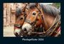 Tobias Becker: Pferdegeflüster 2026 Fotokalender DIN A4, KAL