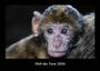 Tobias Becker: Welt der Tiere 2026 Fotokalender DIN A3, KAL