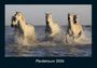 Tobias Becker: Pferdetraum 2026 Fotokalender DIN A4, KAL