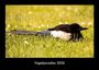 Tobias Becker: Vogelparadies 2026 Fotokalender DIN A3, KAL