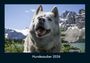 Tobias Becker: Hundezauber 2026 Fotokalender DIN A4, KAL