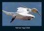 Tobias Becker: Welt der Vögel 2026 Fotokalender DIN A4, KAL