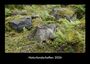 Tobias Becker: Naturlandschaften 2026 Fotokalender DIN A3, KAL