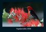 Tobias Becker: Vogelparadies 2026 Fotokalender DIN A4, KAL
