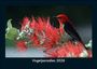 Tobias Becker: Vogelparadies 2026 Fotokalender DIN A5, KAL