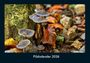 Tobias Becker: Pilzkalender 2026 Fotokalender DIN A4, KAL
