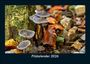 Tobias Becker: Pilzkalender 2026 Fotokalender DIN A5, KAL