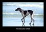 Tobias Becker: Hundezauber 2026 Fotokalender DIN A3, KAL