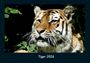 Tobias Becker: Tiger 2026 Fotokalender DIN A4, KAL