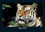 Tobias Becker: Tiger 2026 Fotokalender DIN A5, KAL