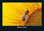 Tobias Becker: Bienen 2026 Fotokalender DIN A5, KAL