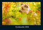 Tobias Becker: Hundezauber 2026 Fotokalender DIN A4, KAL