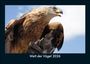 Tobias Becker: Welt der Vögel 2026 Fotokalender DIN A5, KAL