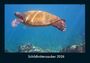 Tobias Becker: Schildkrötenzauber 2026 Fotokalender DIN A4, KAL