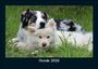 Tobias Becker: Hunde 2026 Fotokalender DIN A5, KAL