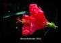 Tobias Becker: Blumenkalender 2026 Fotokalender DIN A3, KAL