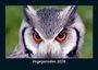 Tobias Becker: Vogelparadies 2026 Fotokalender DIN A5, KAL