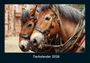 Tobias Becker: Tierkalender 2026 Fotokalender DIN A4, KAL