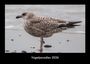 Tobias Becker: Vogelparadies 2026 Fotokalender DIN A3, KAL