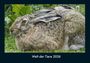 Tobias Becker: Welt der Tiere 2026 Fotokalender DIN A4, KAL