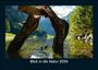 Tobias Becker: Blick in die Natur 2026 Fotokalender DIN A5, KAL
