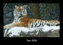 Tobias Becker: Tiger 2026 Fotokalender DIN A3, KAL