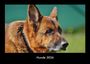 Tobias Becker: Hunde 2026 Fotokalender DIN A3, KAL