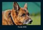 Tobias Becker: Hunde 2026 Fotokalender DIN A4, KAL