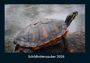 Tobias Becker: Schildkrötenzauber 2026 Fotokalender DIN A4, KAL
