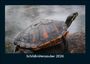 Tobias Becker: Schildkrötenzauber 2026 Fotokalender DIN A5, KAL