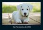 Tobias Becker: Der Hundekalender 2026 Fotokalender DIN A4, KAL