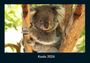 Tobias Becker: Koala 2026 Fotokalender DIN A4, KAL
