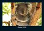 Tobias Becker: Koala 2026 Fotokalender DIN A5, KAL
