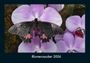 Tobias Becker: Blumenzauber 2026 Fotokalender DIN A4, KAL