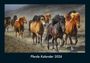 Tobias Becker: Pferde Kalender 2026 Fotokalender DIN A4, KAL