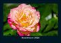 Tobias Becker: Rosentraum 2026 Fotokalender DIN A5, KAL