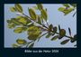 Tobias Becker: Bilder aus der Natur 2026 Fotokalender DIN A4, KAL