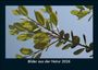 Tobias Becker: Bilder aus der Natur 2026 Fotokalender DIN A5, KAL