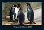 Tobias Becker: Pinguine & Eisbären 2026 Fotokalender DIN A4, KAL