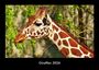 Tobias Becker: Giraffen 2026 Fotokalender DIN A3, KAL