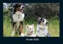 Tobias Becker: Hunde 2026 Fotokalender DIN A4, KAL