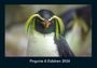 Tobias Becker: Pinguine & Eisbären 2026 Fotokalender DIN A4, KAL
