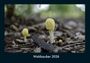 Tobias Becker: Waldzauber 2026 Fotokalender DIN A4, KAL