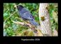 Tobias Becker: Vogelparadies 2026 Fotokalender DIN A3, KAL